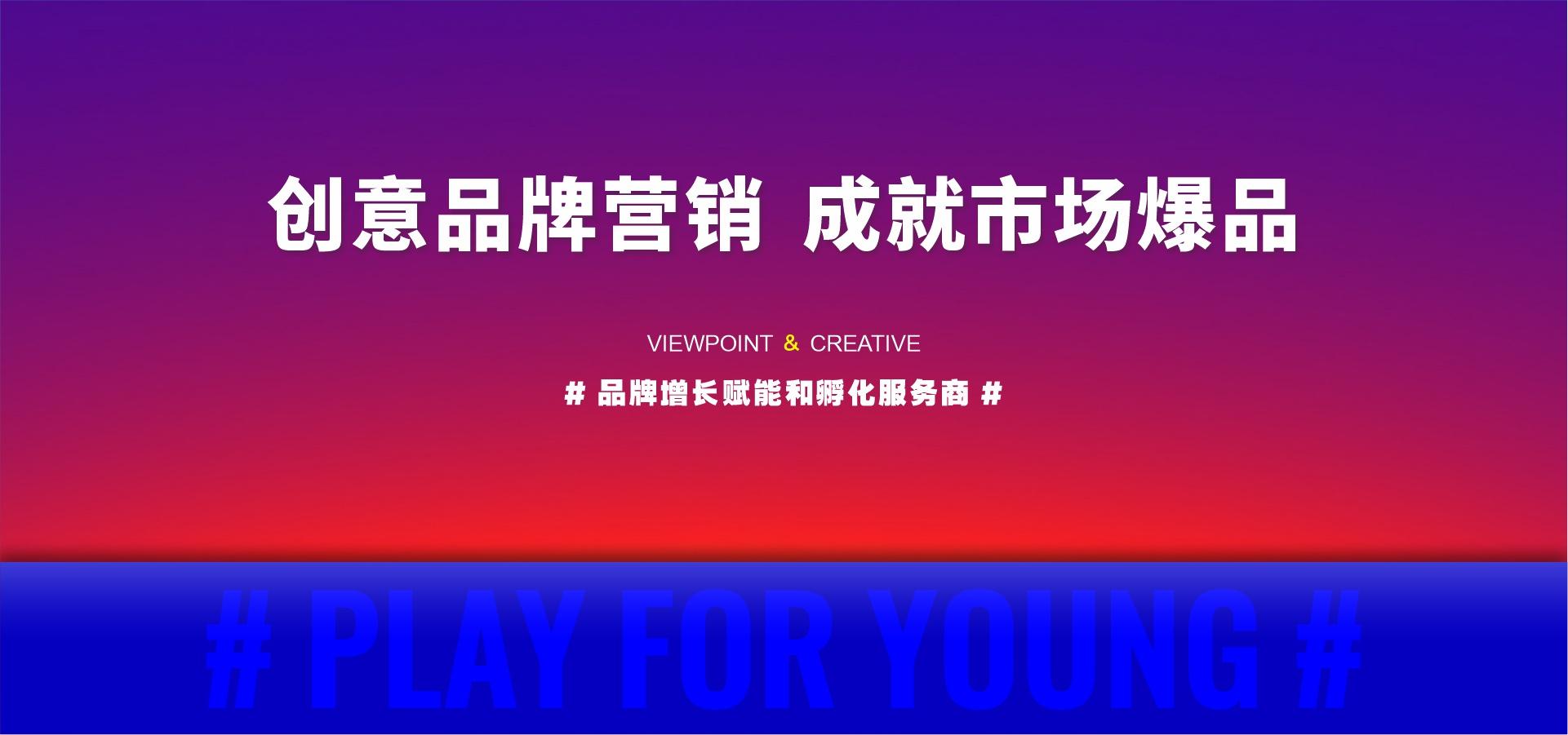 大邑网络广告全案策划 欢迎来电 成都又吉文化传媒供应